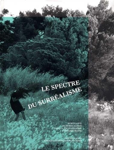 Le spectre du surréalisme : Survivance du surréalisme dans la photographie contemporaine