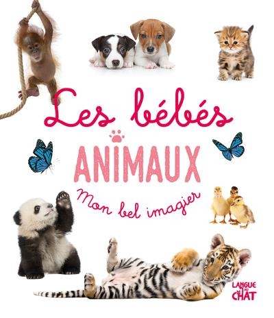 Mon Bel Imagier - les Bebes Animaux