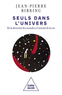 Seuls dans l'Univers