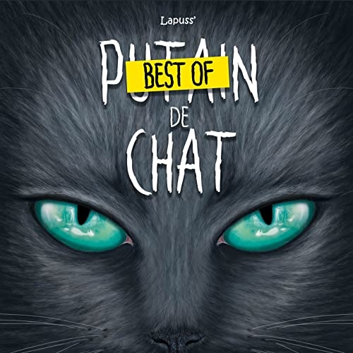 Best of Putain de chat