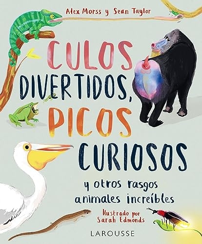 Culos divertidos, picos curiosos: Y otros rasgos animales increíbles