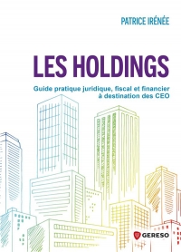 LES HOLDINGS: GUIDE PRATIQUE JURIDIQUE, FISCAL ET FINANCIER A DESTINATION DES CEO