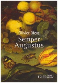 Semper Augustus