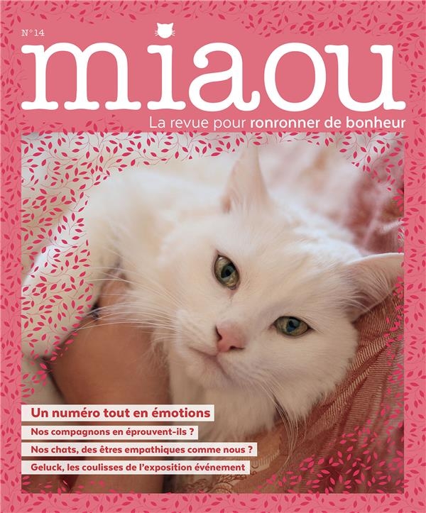 Miaou 14