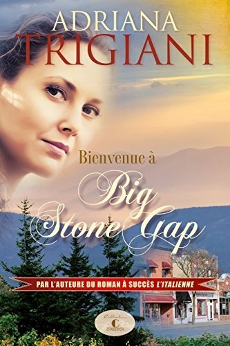 Bienvenue a Big Stone Gap