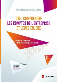 Cse : Comprendre les Comptes de l'Entreprise et Leurs Enjeux - Guide a l'Usage des Elus du Personnel