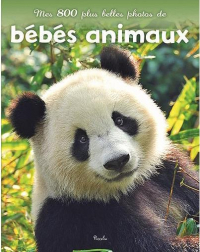 Les Bebes Animaux