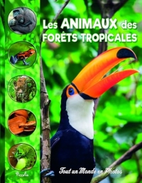 Les animaux des forêts tropicales