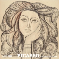Picasso - dessiner a l'infini/album de l'exposition