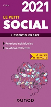 Le Petit Social 2021 - L'essentiel en bref: L'essentiel en bref (2021)