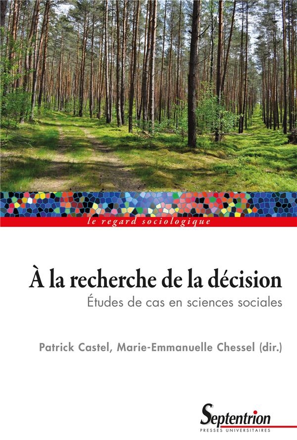 À la recherche de la décision: Études de cas en sciences sociales
