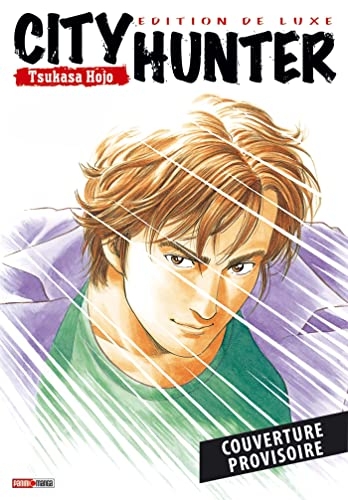 City Hunter - Perfect Edition T04