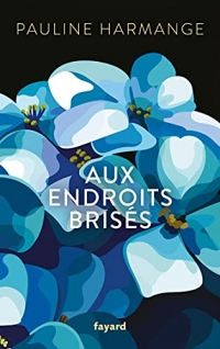 Aux endroits brisés