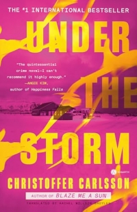 Under the Storm: A Novel