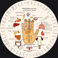 Réflexologie de la main