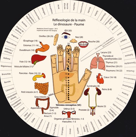 Réflexologie de la main