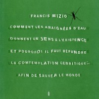 Comment les araignées donnent un sens à l'existence