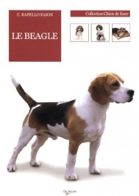 Le beagle