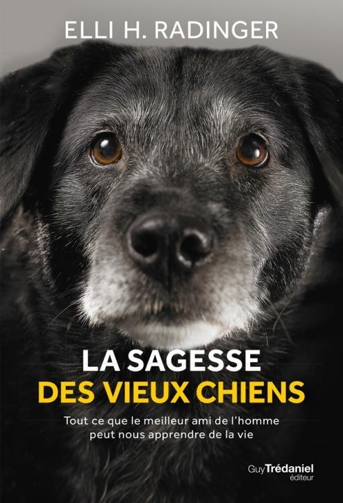 La sagesse des vieux chiens