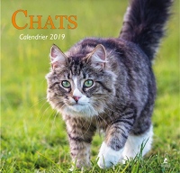 Chats - Calendrier 2019