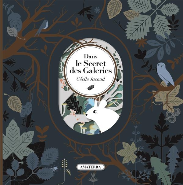 Dans le secret des galeries