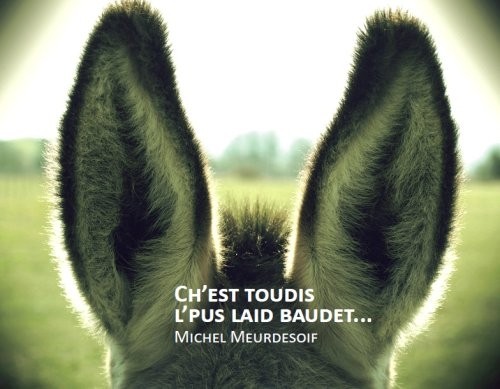 Ch'est toudis l'pus laid baudet... qui passe es tiête pa-dzeur l'haïure (C'est toujours l'âne le plus moche... qui passe la tête par dessus la haie)