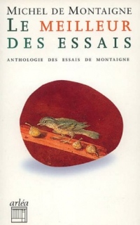 Le Meilleur des essais. Anthologie des essais de Montaigne