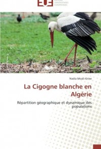 La cigogne blanche en algérie