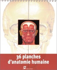 36 Planches d'anatomie humaine