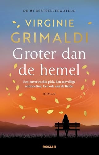 Groter dan de hemel: Een onverwachte plek. Een toevallige ontmoeting. Een ode aan de liefde. [9789046834114]