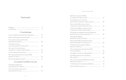 Cette vie, la mort et après: Le livre qui répond enfin à toutes vos questions