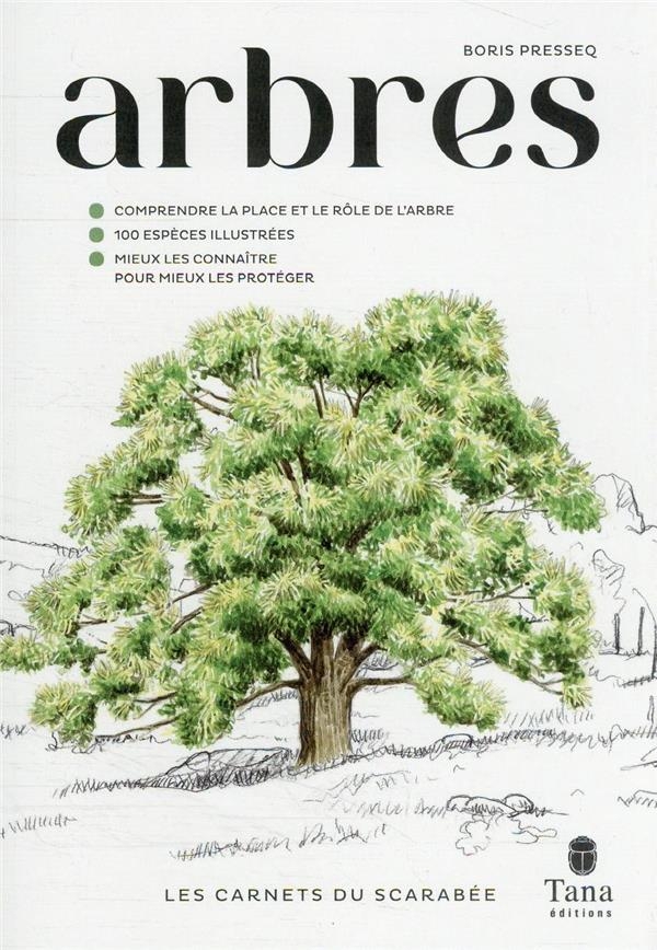 Les carnets du scarabée arbres
