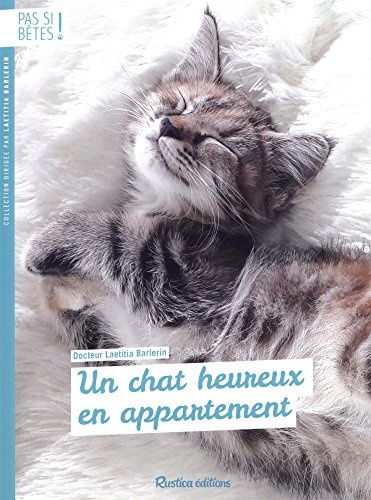 Pas si bêtes : Un chat heureux en appartement