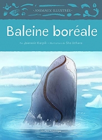 Baleine Boréale