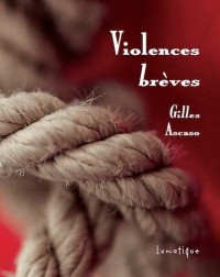 Violences Breves