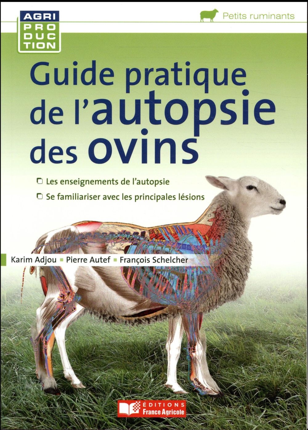 Guide pratique de l'autopsie des ovins