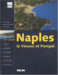 Naples : Le Vésuve et Pompéi