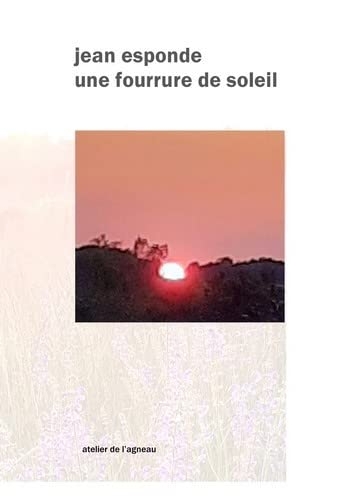 Une fourrure de soleil: et naissance de quelques livres.