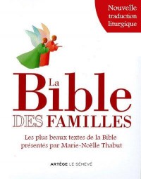 La Bible des familles: Les plus beaux textes de la Bible présentés par Marie-Noëlle Thabut, illustrés par Éric Puybaret