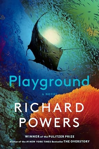 Playground: A Novel [9781324089391]