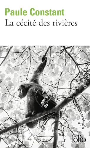 La cécité des rivières