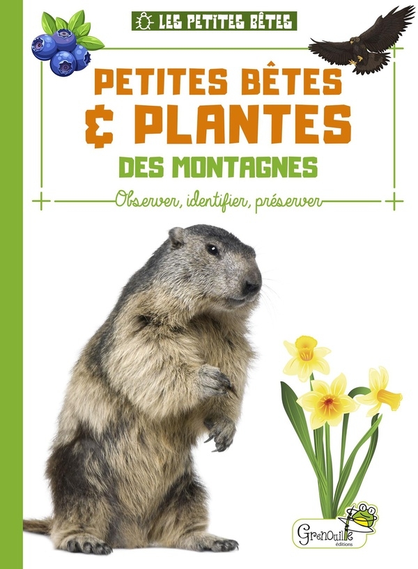 Petites bêtes et plantes des montagnes