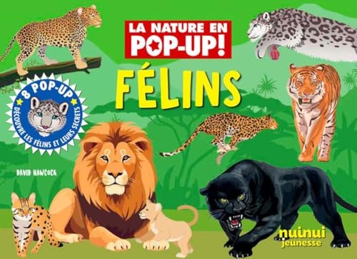 La nature en pop up - Félins