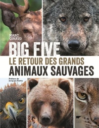 Big Five Le retour des grands animaux sauvages