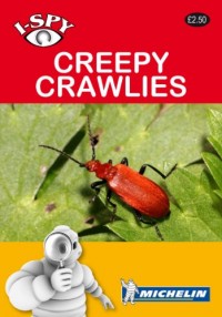 I-Spy Creepy Crawlies