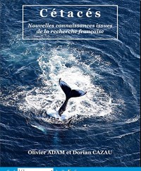 Cétacés : Nouvelles connaissances issues de la recherche française