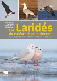 Les laridés du paléarctique occidental. Guide d'identification