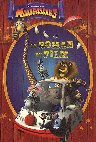 Le roman du film