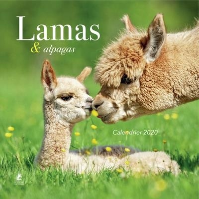 Calendrier Lamas 2020