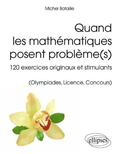 Quand les mathématiques posent problème(s)
